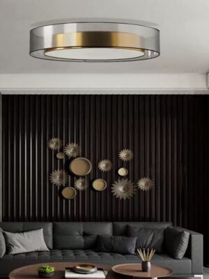 Modern Led Ceiling Light