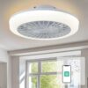 Luxury LED ceiling fan light
