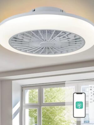 Luxury LED ceiling fan light