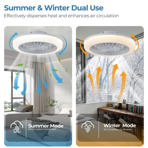 Luxury LED ceiling fan light