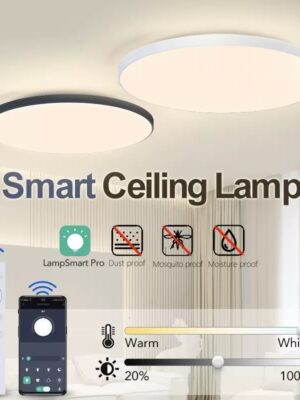Smart ceiling Lamps