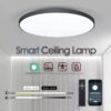 Smart ceiling Lamps
