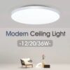 Modern ceiling light