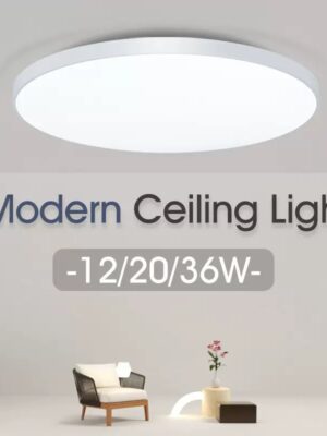 Modern ceiling light
