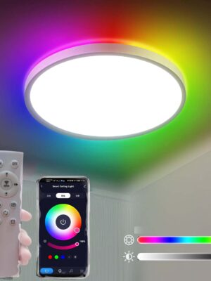 RGB light and Bluetooth ceiling light