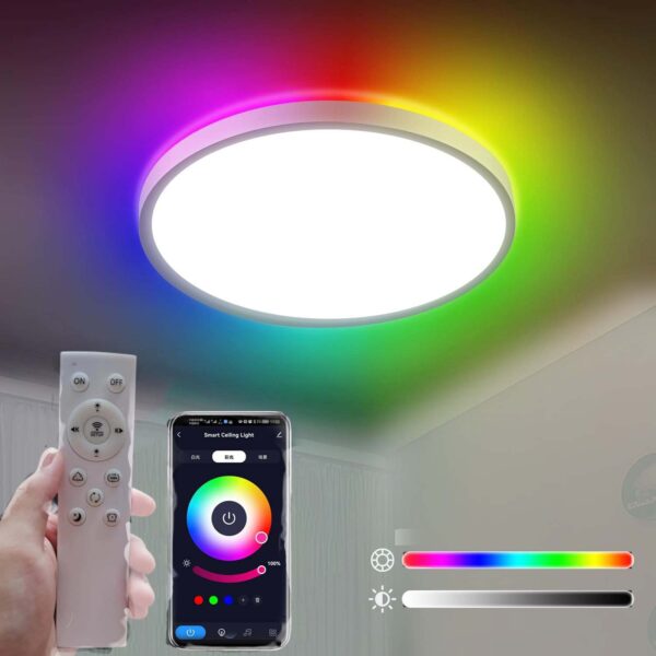 RGB light and Bluetooth ceiling light