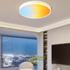 Full Spectrum SKY Ceiling Light
