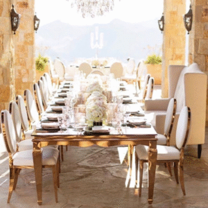 Luxury Dining Chairs