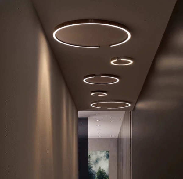 New smart ring decorated LED ceiling lamp