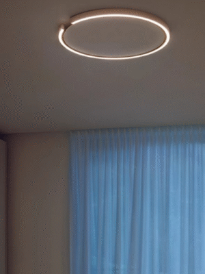 New smart ring decorated LED ceiling lamp
