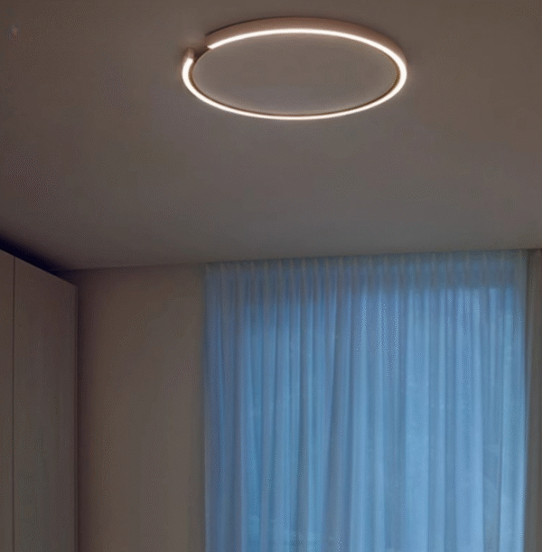 New smart ring decorated LED ceiling lamp