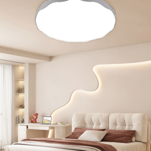 Modern bedroom & living room ceiling LED lamp