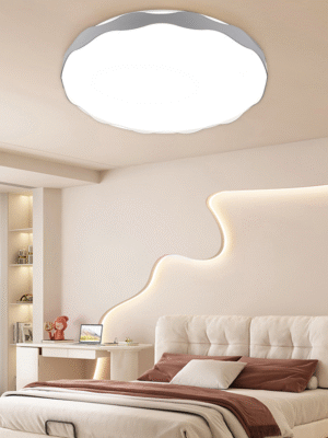 Modern bedroom & living room ceiling LED lamp