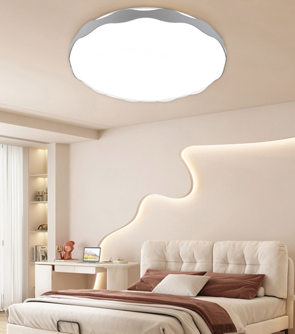 Modern bedroom & living room ceiling LED lamp