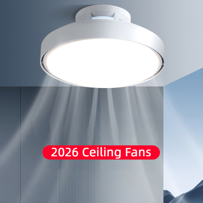 Bladeless Ceiling Fan Light | Silent LED Flush Mount | Dimmable | Bedroom Living Room | 48cm 6