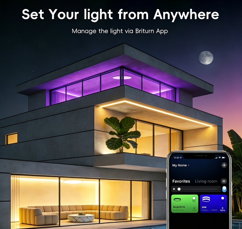 Smart WiFi LED Ceiling Light Wholesale – Dual-Side RGB Glow App & Remote Control 30W Dimmable 5 RGB led ceiling light