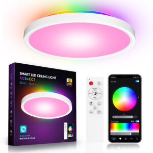 Smart WiFi LED Ceiling Light Wholesale – Dual-Side RGB Glow App & Remote Control 30W Dimmable