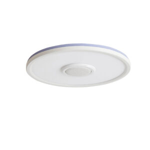 RGB Bluetooth Ceiling Light Wholesale