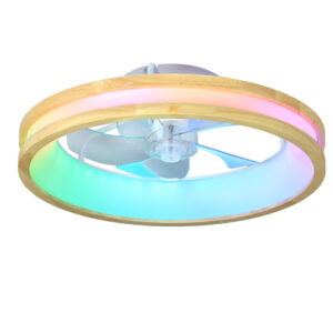 RGB Ceiling Fan Light