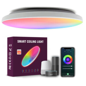 Smart RGBCW Ceiling Light