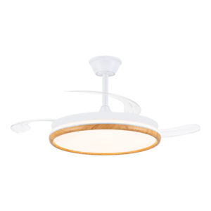 Retractable Ceiling Fan Light