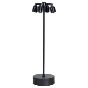 Spotlight Desk Lamp